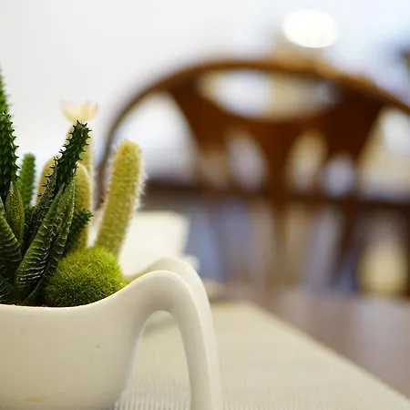 Szálloda Martini 3*