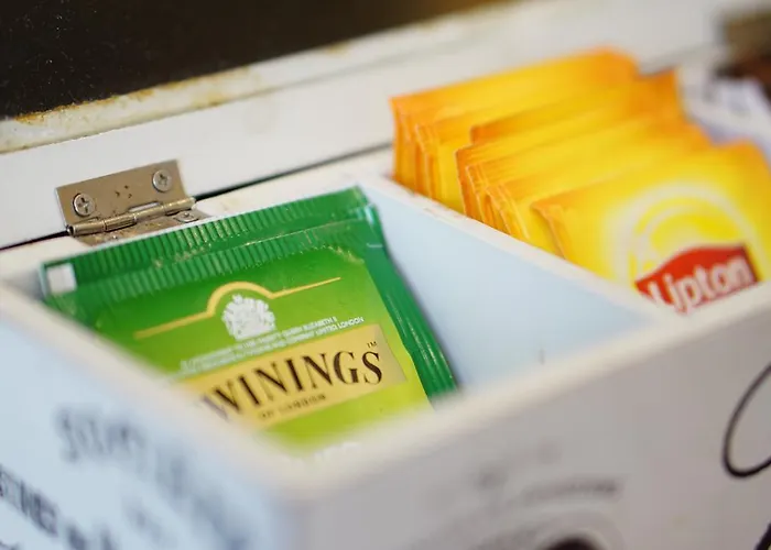 호텔 마르티니 3*