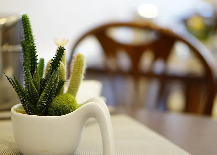 Отель Martini 3*